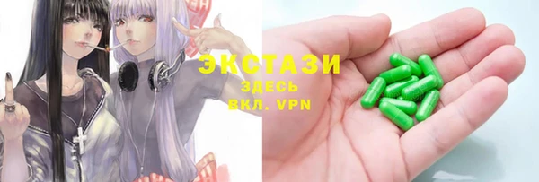 ECSTASY Каменка