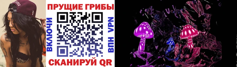 kraken как войти  Абинск  Галлюциногенные грибы ЛСД  продажа наркотиков 